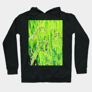 close-up green rice grain Hoodie